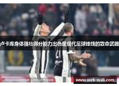 卢卡库身体强壮得分能力出色是现代足球锋线的致命武器