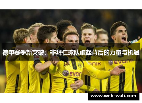 德甲赛季新突破：非拜仁球队崛起背后的力量与机遇