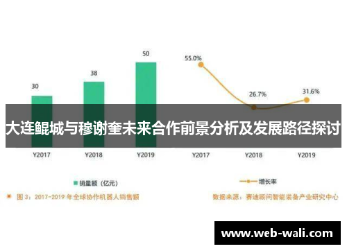 大连鲲城与穆谢奎未来合作前景分析及发展路径探讨