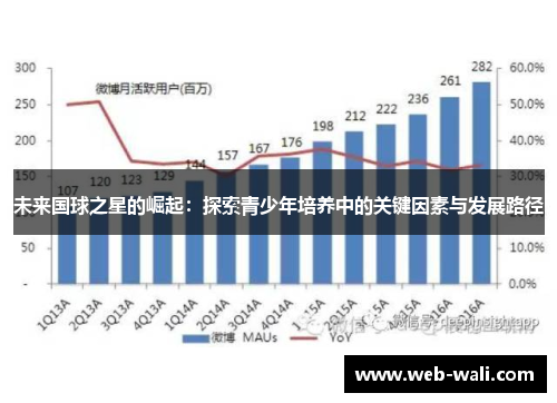未来国球之星的崛起：探索青少年培养中的关键因素与发展路径