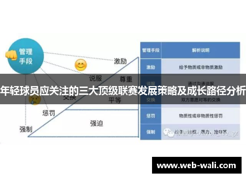 年轻球员应关注的三大顶级联赛发展策略及成长路径分析