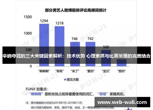 辛纳夺冠的三大关键因素解析：技术优势 心理素质与比赛策略的完美结合