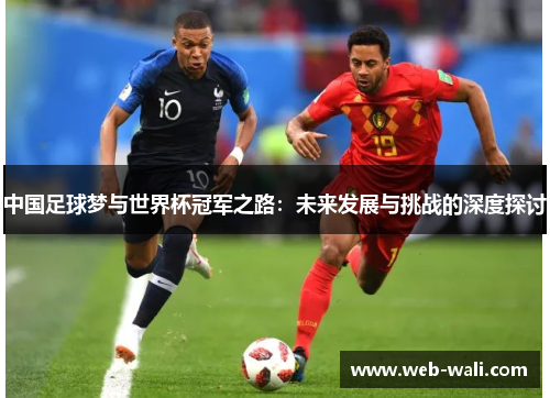 中国足球梦与世界杯冠军之路：未来发展与挑战的深度探讨