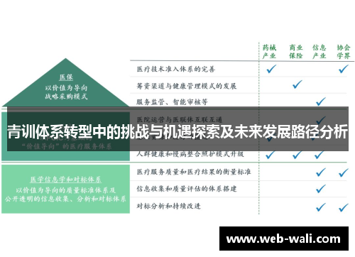 青训体系转型中的挑战与机遇探索及未来发展路径分析
